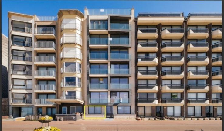 Zilverzand Aan Zee - Frontaal Zeezicht Coxyde Extérieur photo